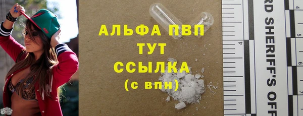стаф Арсеньев