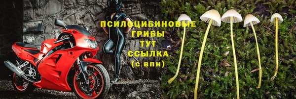 круглые Аркадак