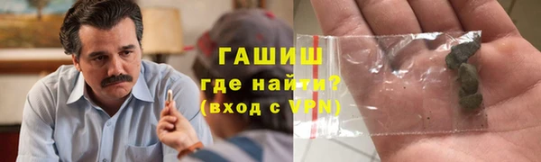 стаф Арсеньев