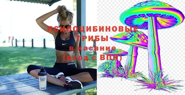 стаф Арсеньев