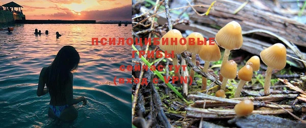 стаф Арсеньев