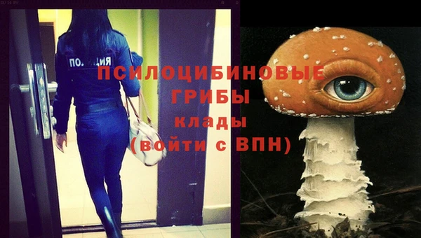 круглые Аркадак