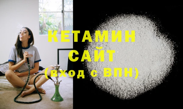 стаф Дмитров