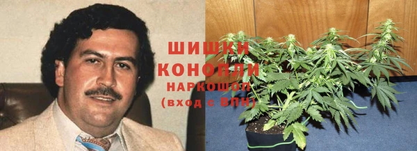 круглые Аркадак