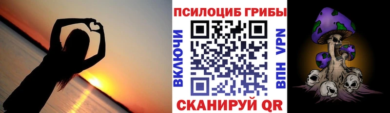 нарко площадка какой сайт Копейск Галлюциногенные грибы Psilocybe