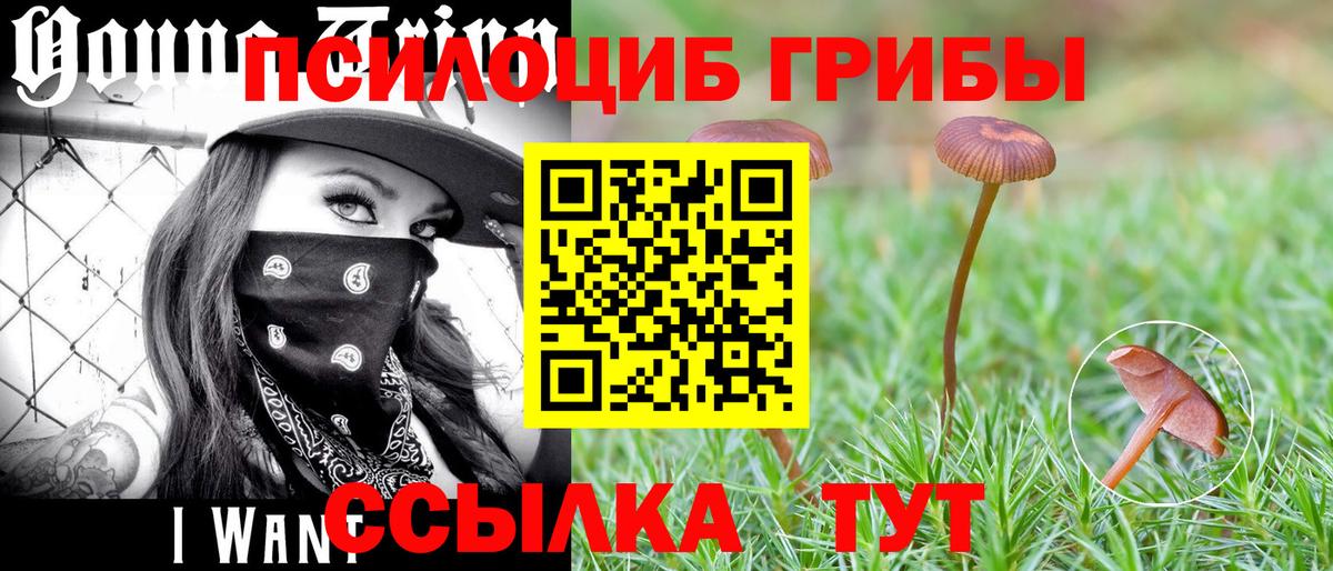 Псилоцибиновые грибы мицелий Копейск